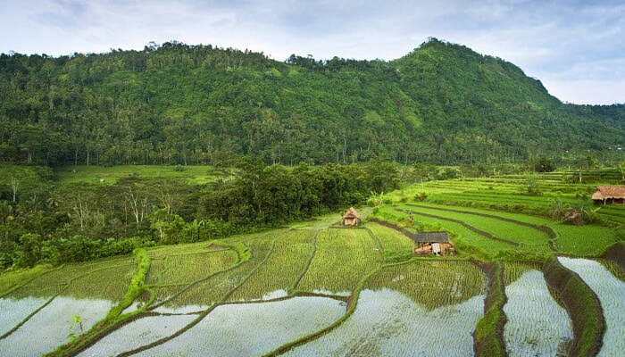 CULTURE & NATURE